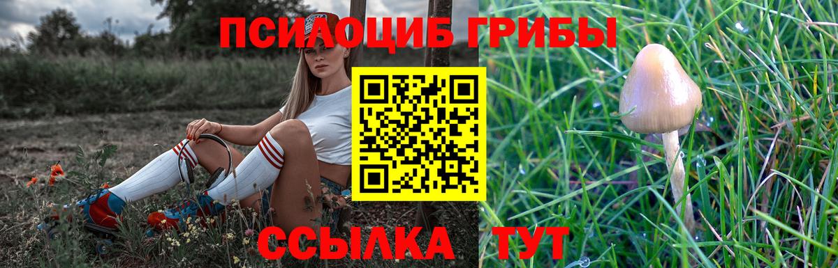 Псилоцибиновые грибы GOLDEN TEACHER  Вход с VPN  Кириши 