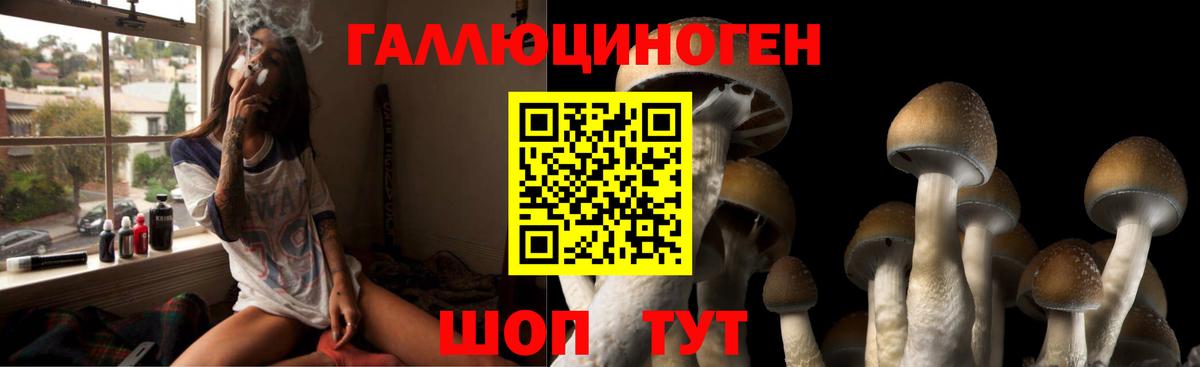 Псилоцибиновые грибы прущие грибы Кириши